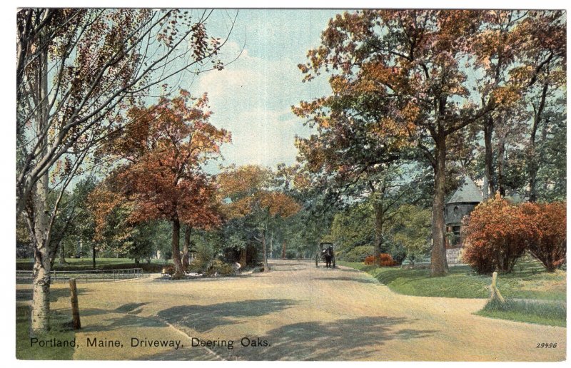 Portland, Maine, Driveway, Deering Oaks