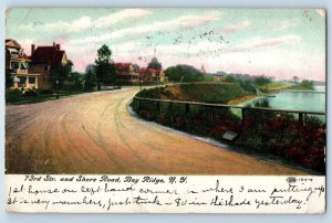 Bay Ridge New York NY Postcard 73rd Street And Shore Road Scene 1910 Antique