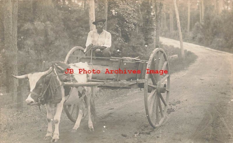 Black Americana, RPPC, Man Driving Oxen Drawn Cart on Dirt Road, Photo