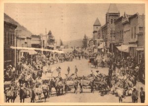 Colorado 56 Mules Carrying Continous Cable For The Nellie Mine Circa 1908