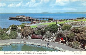 US65 UK England Weston Super Mare Prince Consort gardens and Old pier