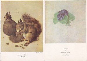 Durer Squirrels Violets 2x Vintage Medici Society Painting Postcard s