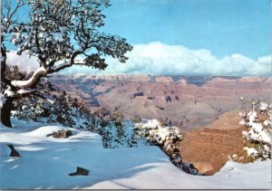 Postcard AZ - Grand Canyon in winter