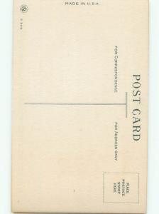 Very Old Foreign Postcard BEAUTIFUL FLOWERS SCENE AA5032