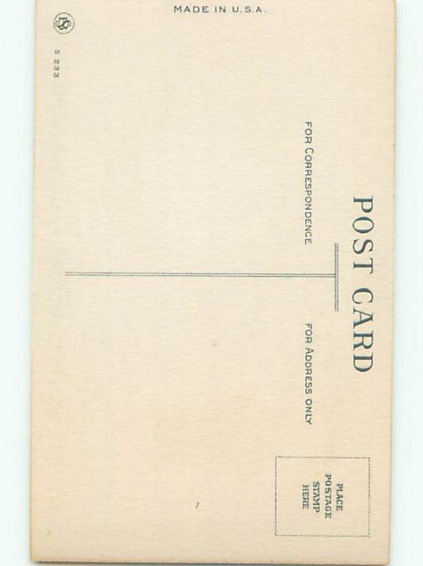 Very Old Foreign Postcard BEAUTIFUL FLOWERS SCENE AA5032