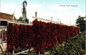 Vintage California Postcard - Drying Chili Peppers