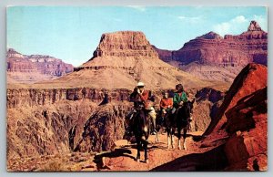 Fred Harvey  Mule Train  Grand Canyon National Park  Arizona   Postcard