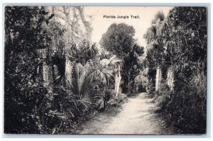 1910 Florida Jungle Trail Trees Scene Saint Augustine Florida FL Posted Postcard