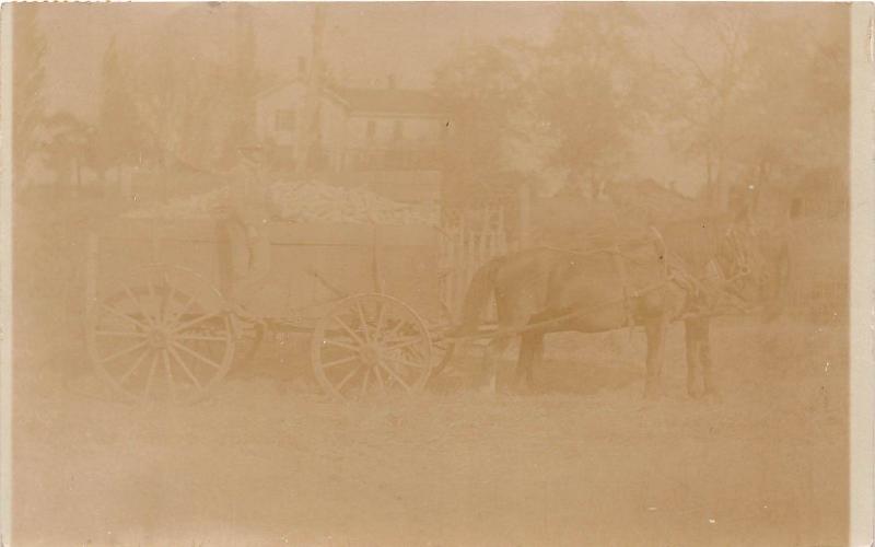 E28/ Occupational Real Photo RPPC Postcard c1910 Illinois Delivery Wagon 8