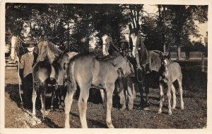 F92/ Occupational RPPC Postcard c1910 Horse Breeder Farm 5