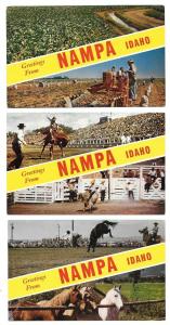 Group of 3 Greetings From Nampa, Idaho Vintage Postcards N5127