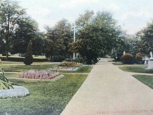 Public Gardens Halifax Nova Scotia Vintage Postcard c1910