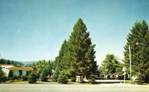 Vintage Postcard Evergreen Motel Delightful Shady Park California CA