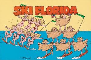 Ski Florida