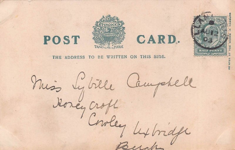 WALES~SNOWDON FROM CAPEL CURIG~PANORAMA~1903 PHOTO POSTCARD