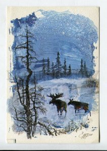 429339 FINLAND christmas moose 1982 year RPPC