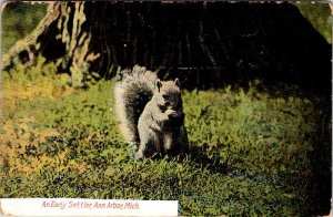 Postcard ANIMAL SCENE Ann Arbor Michigan MI AM3161