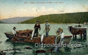 Seining for Salmon - Columbia River, Oregon