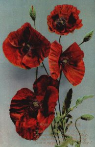 Vintage Postcard Many Happy Returns Birthday Red Flower Large Print Souvenir