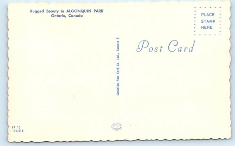 Algonquin Park - Ontario - CANADA Postcard