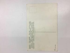 Ballston Spa New York Flower Letter Message Greeting Antique Postcard K105771