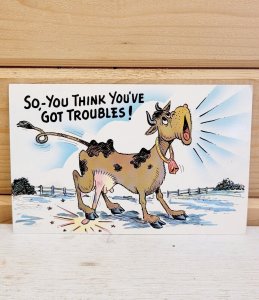 Vintage Postcard Plastichrome 1950s Humor Cow 3.5 x 5.5 Unused CHROME