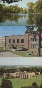 University Of Reading Berkshire Berks 3x Postcard s
