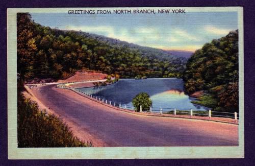 NY Greetings from NORTH BRANCH NEW YORK Linen Postcard