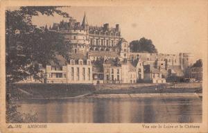 BR71319 amboise vue sur la loire et le chateau   france