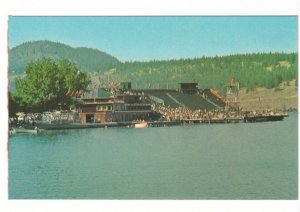 Aquatic Pool, Ogopogo Stadium, Regatta Week, Kelowna BC, Vintage Chrome Postcard