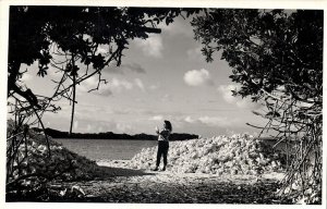 bonaire, N.A., Heap of Conch Shells (1950s) Foto Mayer RPPC Postcard