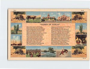 Postcard Down In Texas USA