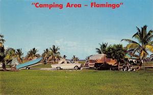 Everglades National Park Florida~Flamingo Camping Area~Tents~Campers~1950s Car