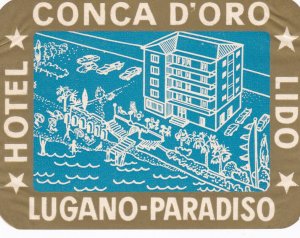 Switzerland Lugano Hotel Conca D'Oro Vintage Luggage Label sk2727