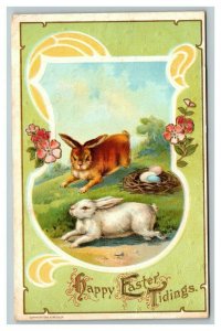 Vintage 1910's Easter Postcard Cute Bunnies in the Country Colored Eggs Flowers