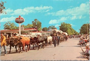 Postcard OR Pendleton Westward Ho Parade BullWagon American Gas Station