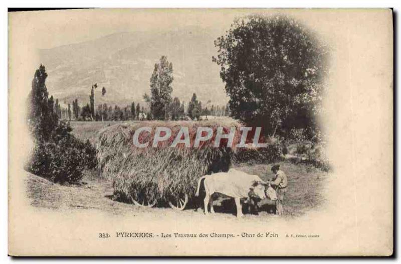Old Postcard Folklore Pyrenees Work hay fields Char