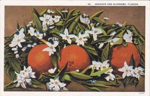 Florida Oranges And Blossoms