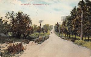 Canastota New York~Turnpike View~Horse Carriage in Distance~Small Bridge~1912 Pc