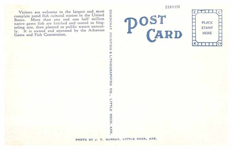 Postcard BUSINESS ACTIVITY SCENE Lonoke Arkansas AR AP1936