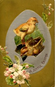 Greeting - Easter   (chicks)  Winsch