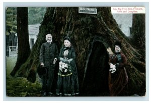 C.1910 On the Line of The S.P.R.R. Cal Big Tree General Fremont Wife Daughter G3