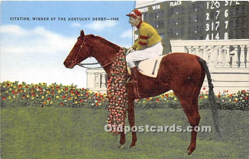 Citation Winner Of The Kentucky Derby 1948 Kentucky Ky Usa Unused United States Kentucky Other Postcard Hippostcard