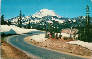 Mount Rainier from Chinook Pass WA Washington Unused Postcard H1