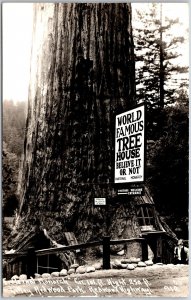 External Monarch Lilley Redwood Park Redwood Highway CA Real Photo RPPC Postcard