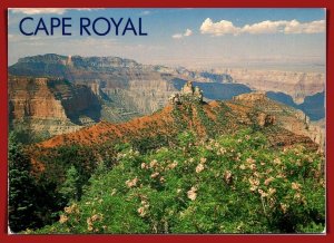 Arizona, Grand Canyon - Cape Royal - [AZ-392X]