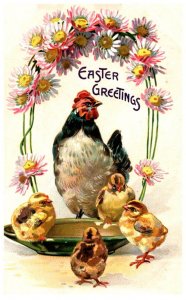 Easter   Chicken with Chicks in Bowl
