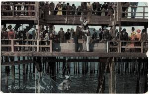 1908 ATLANTIC CITY New Jersey NJ Postcard FISHING HAUL Net from Pier CROWD!