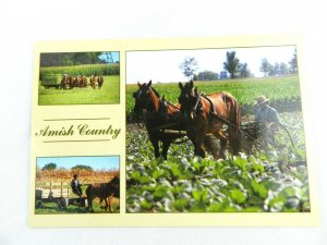 VINTAGE POSTCARD AMISH HORSE DRAWN FARMING PENNSYLVANIA LANCASTER