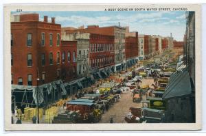 South Water Street Market Scene Chicago Illinois 1930s postcard